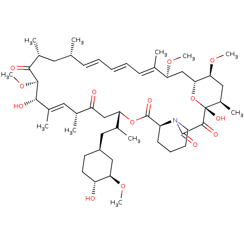 PNG
