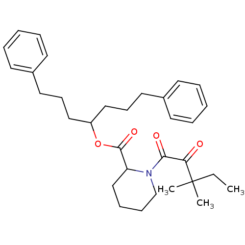 PNG