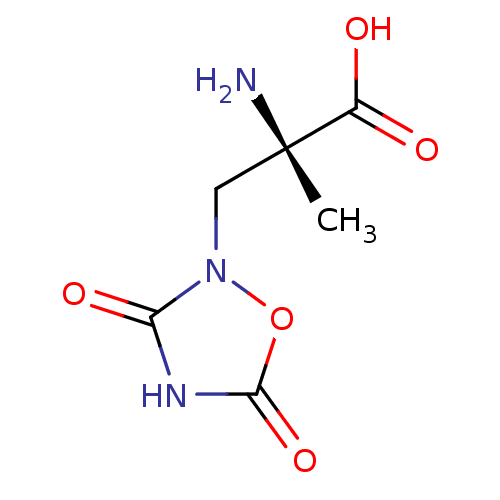 PNG