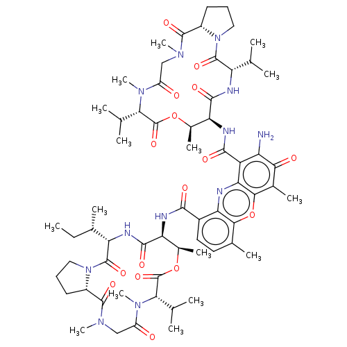 PNG