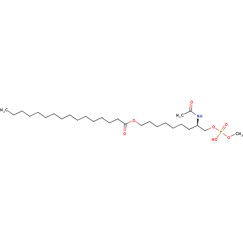 PNG