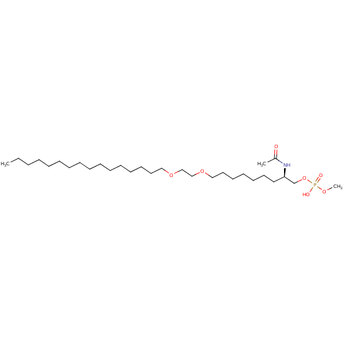 PNG