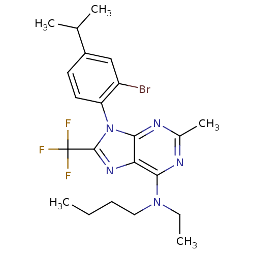 PNG