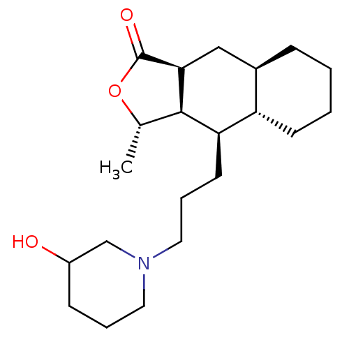 PNG