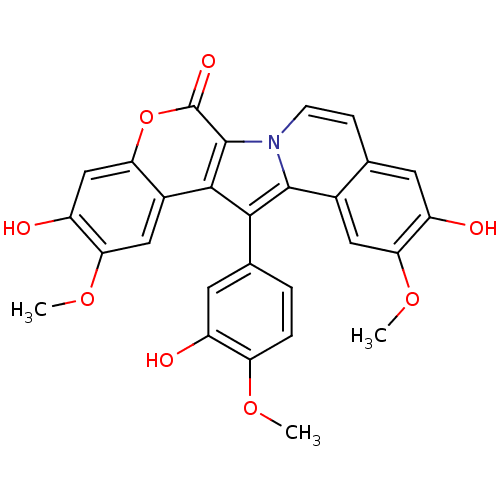 PNG
