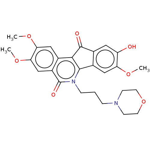 PNG