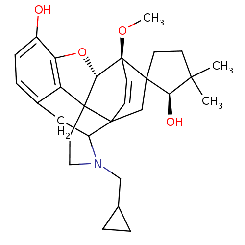 PNG