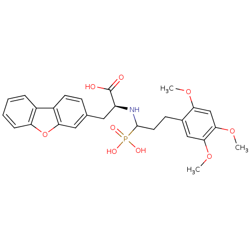 PNG