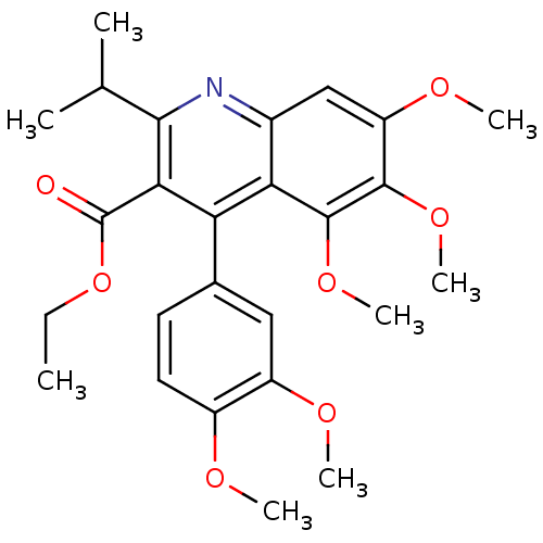 PNG