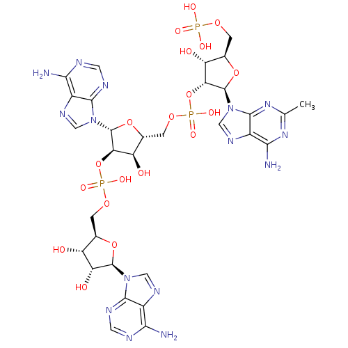 PNG