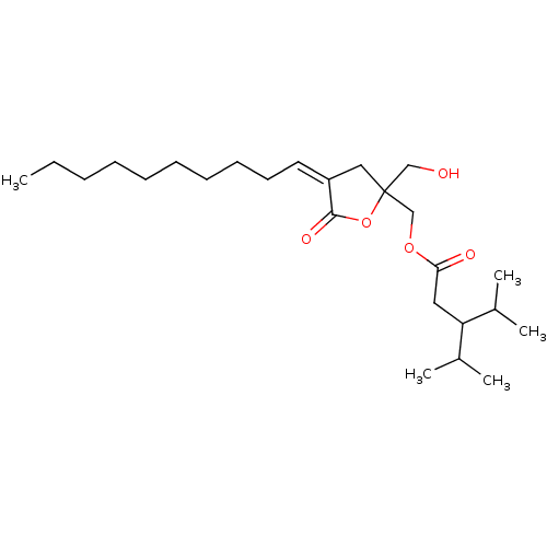 PNG