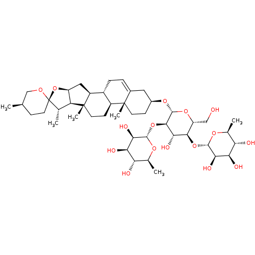 PNG
