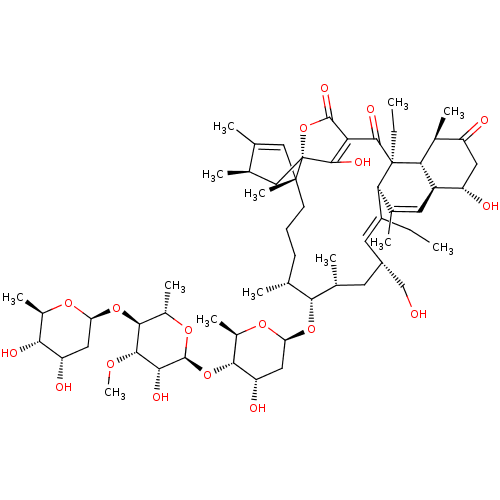 PNG