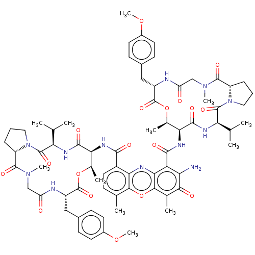 PNG