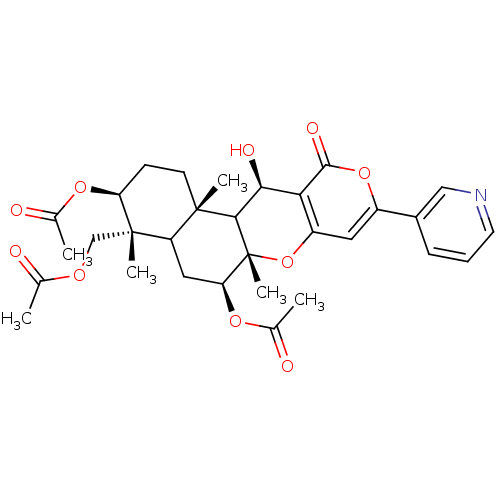 PNG