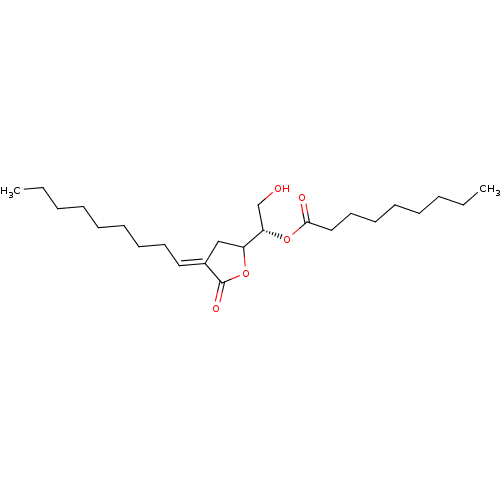 PNG