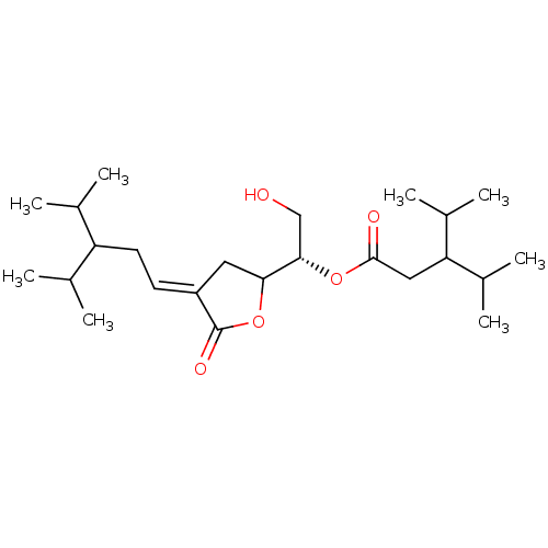 PNG