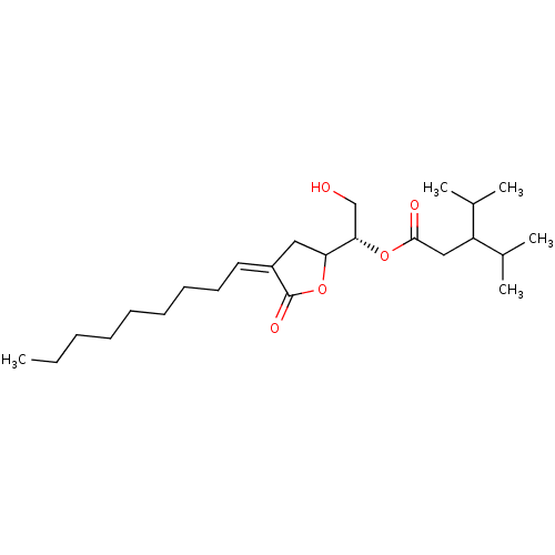 PNG