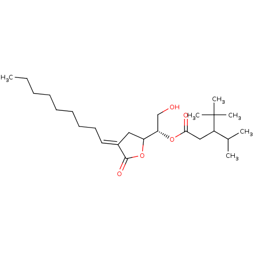 PNG