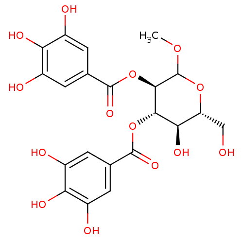 PNG