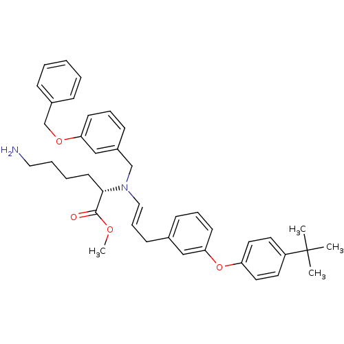 PNG