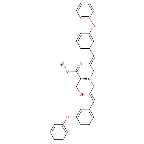PNG