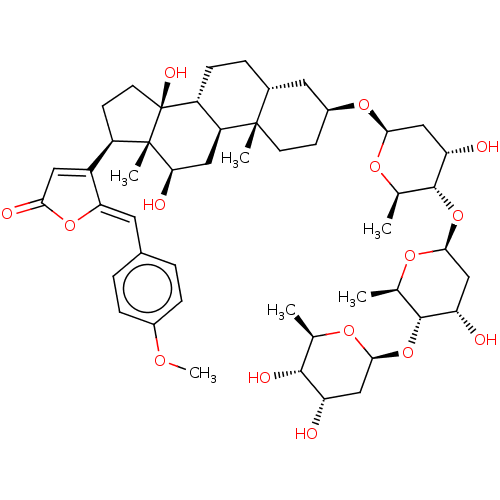 PNG