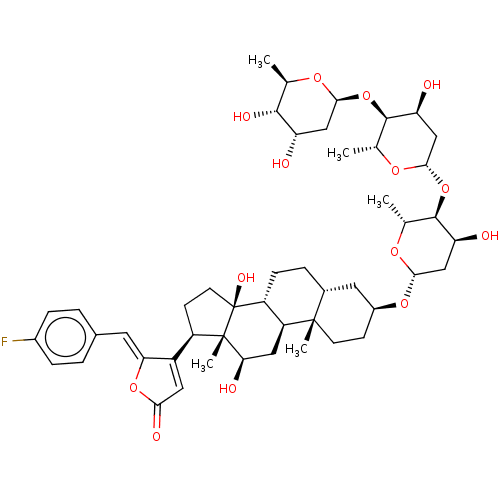 PNG