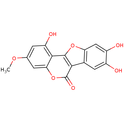 PNG