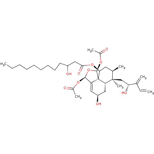 PNG