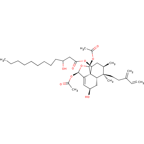 PNG