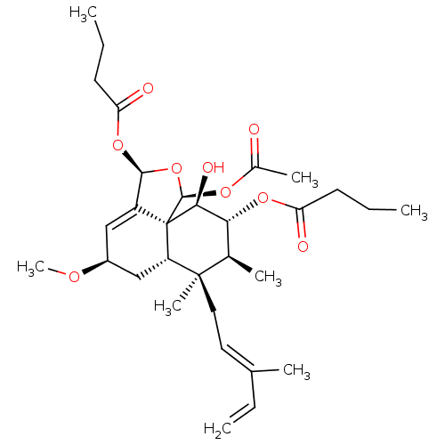 PNG