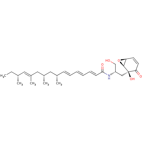 PNG