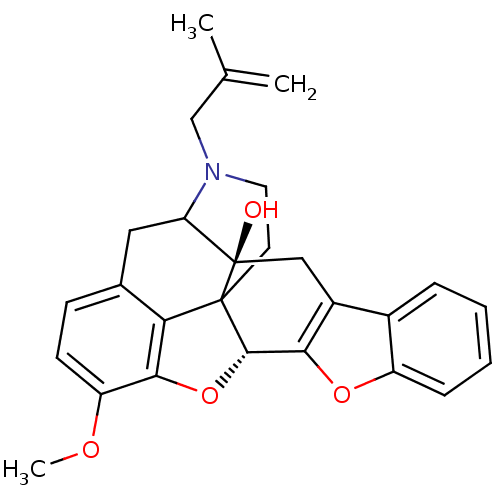 PNG