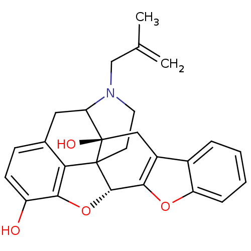 PNG