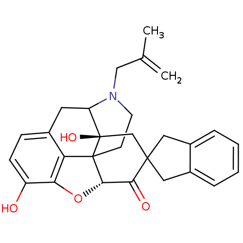PNG
