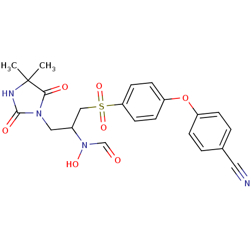 PNG