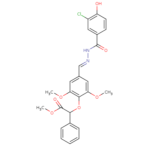 PNG