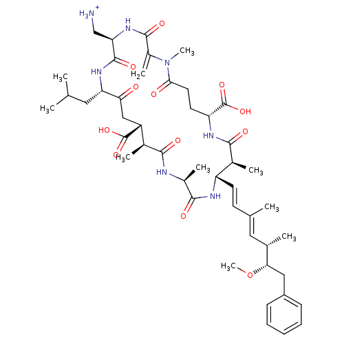 PNG