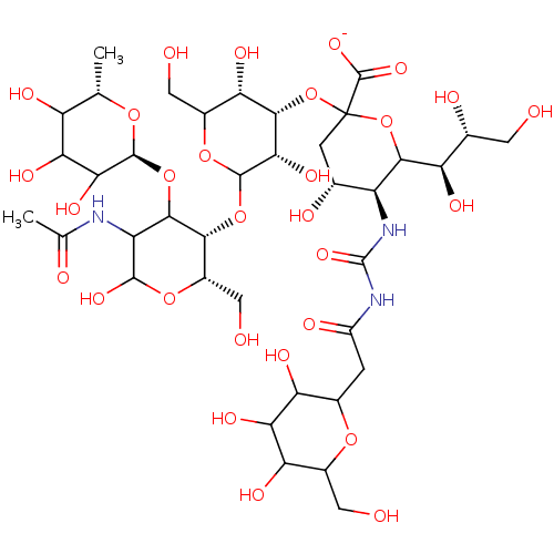PNG