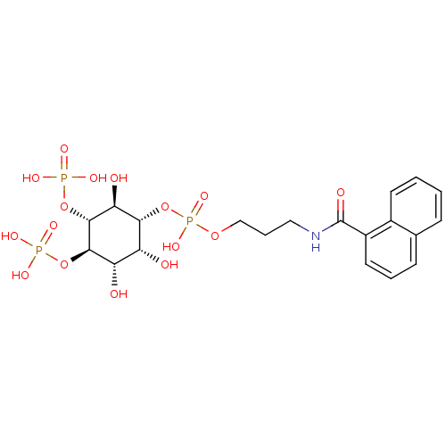 PNG