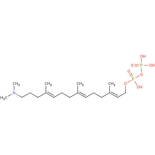 PNG