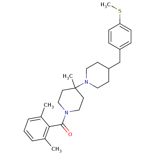 PNG