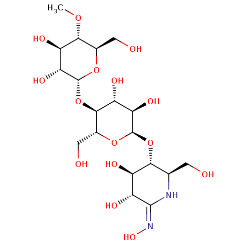PNG