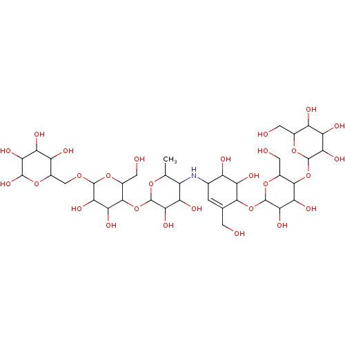 PNG