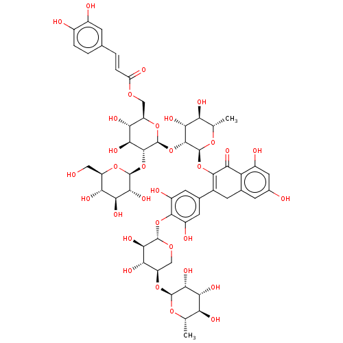 PNG