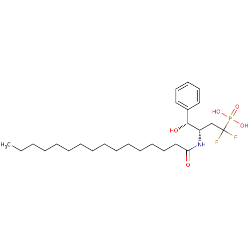 PNG