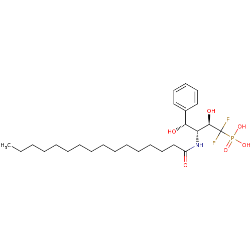 PNG