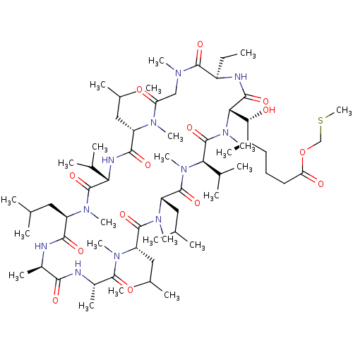 PNG