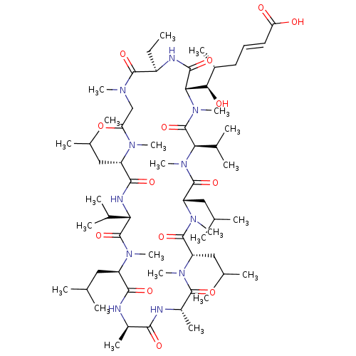 PNG